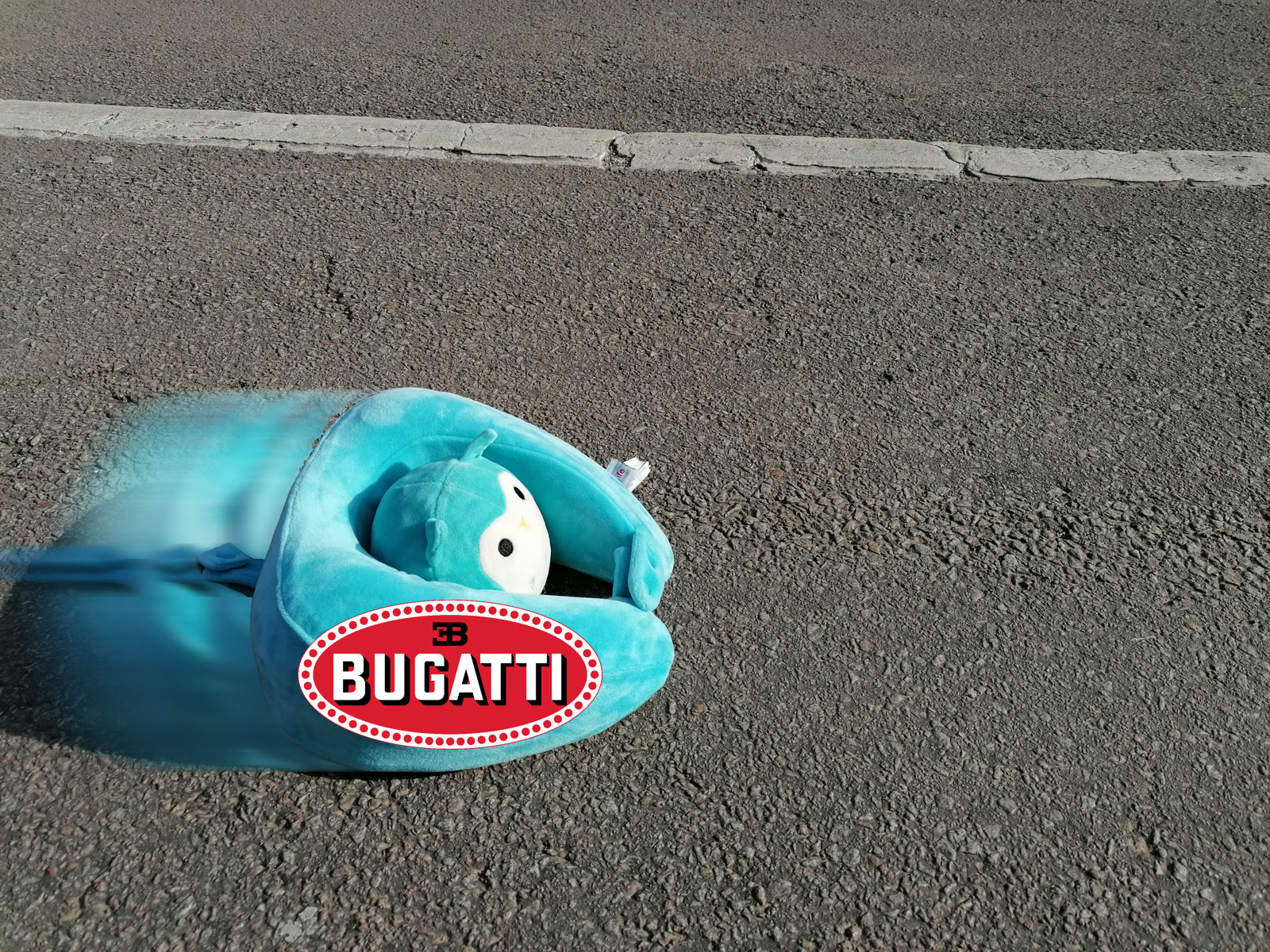 Baby Owl in a badged Bugatti